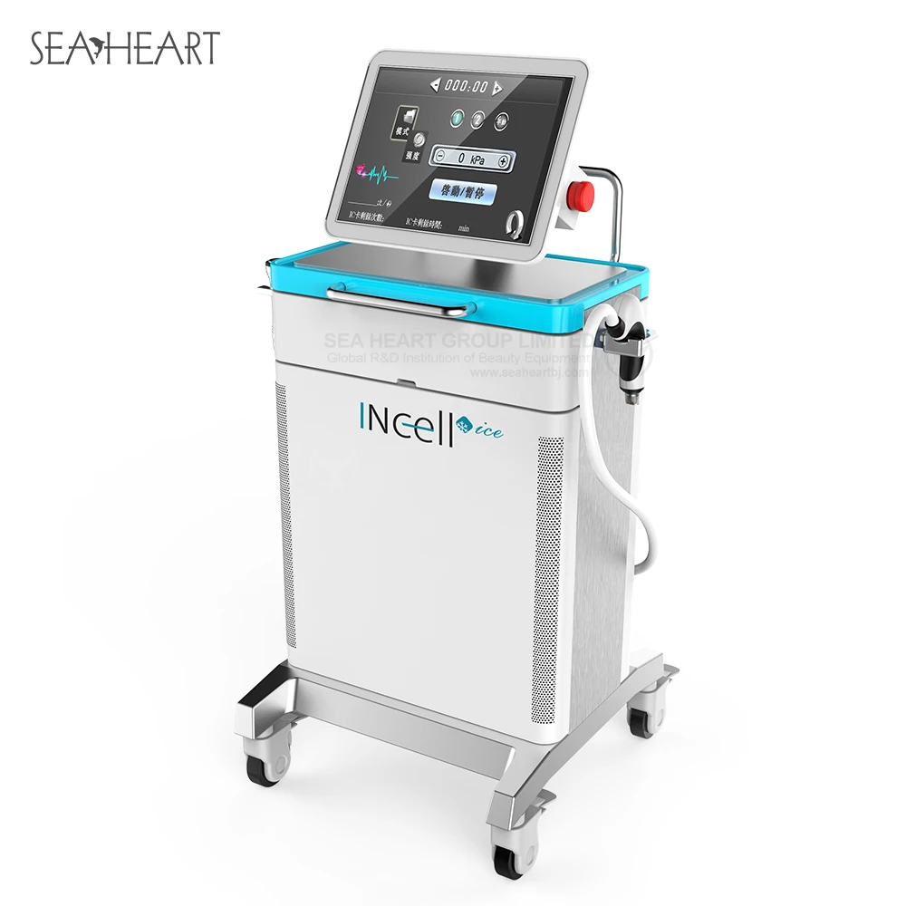 High Quality Beauty Equipment RF Skin Tightening Machine RF Face Lifting Machine