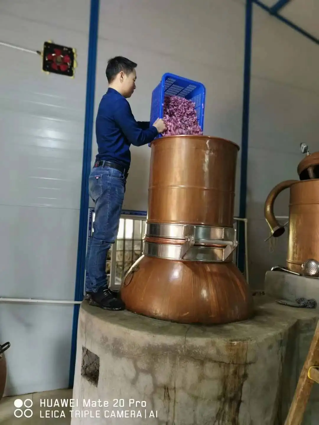  Дистиллятор эфирного масла hydrolat ромашка американский шалфей Паровая дистилляция эфирные высокой очистки