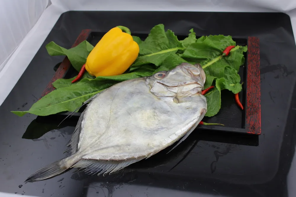 
frozen john dory fillet skin on 
