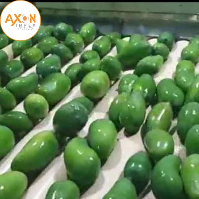 
Famous Pakistani Chaunsa Mangoes Exporters 