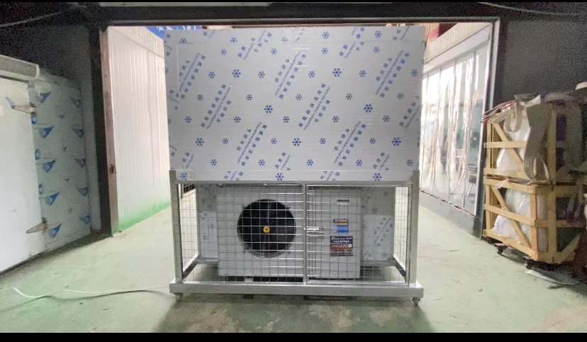 Hot Sale 20ft Mobile Freezer Container Cold Room/Cold Storage For Fruit And Vegetable