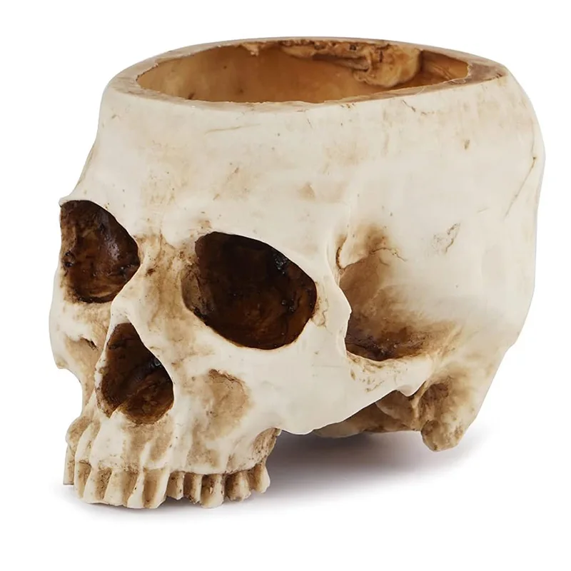 Home Office Desk Decor Skull Planter Resin Skull Flower Pots For Halloween Ornaments