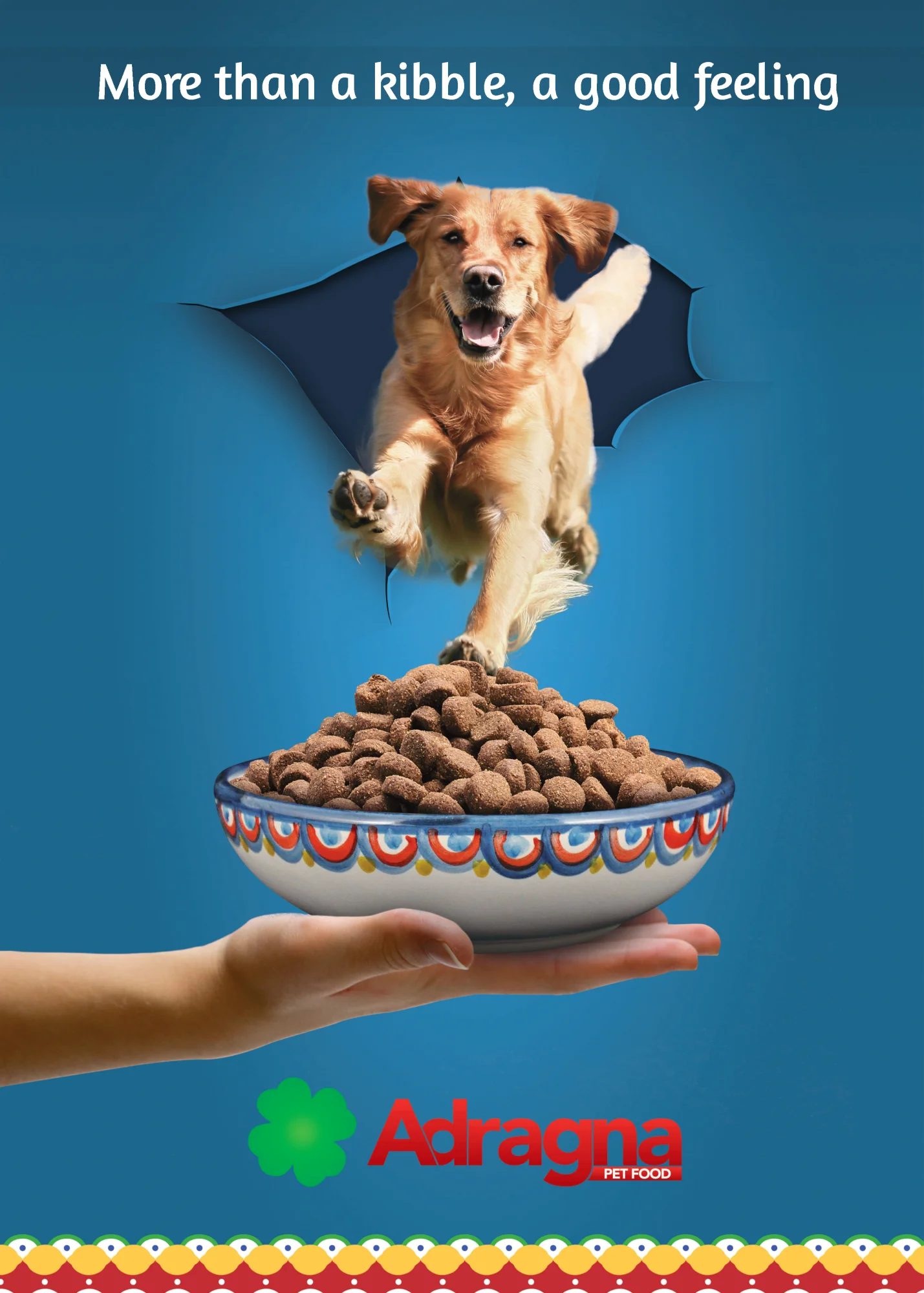 New Pet Food 2022  High Appetibility Adult Dog Food Kibble for Medium and Maxi Size Dog 12kg