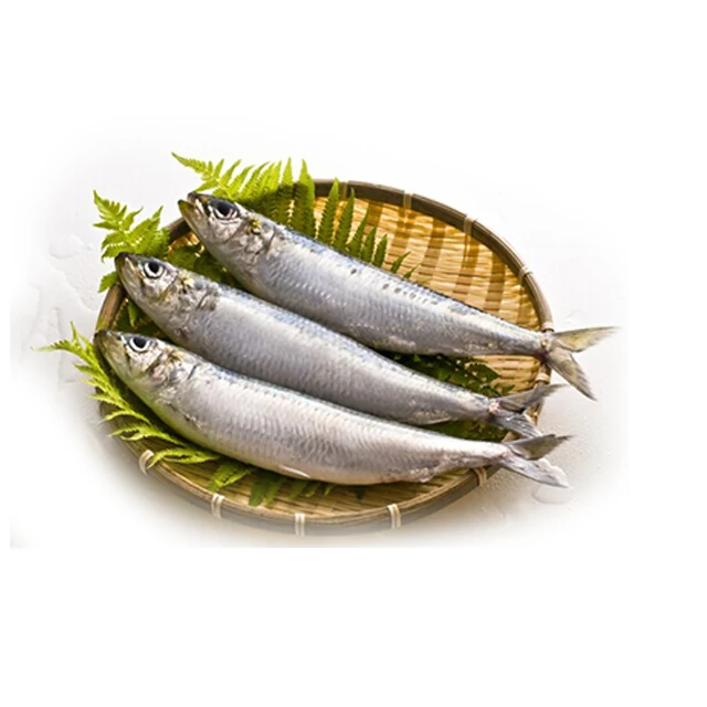 wholesale bulk pilchard Sardine for canned