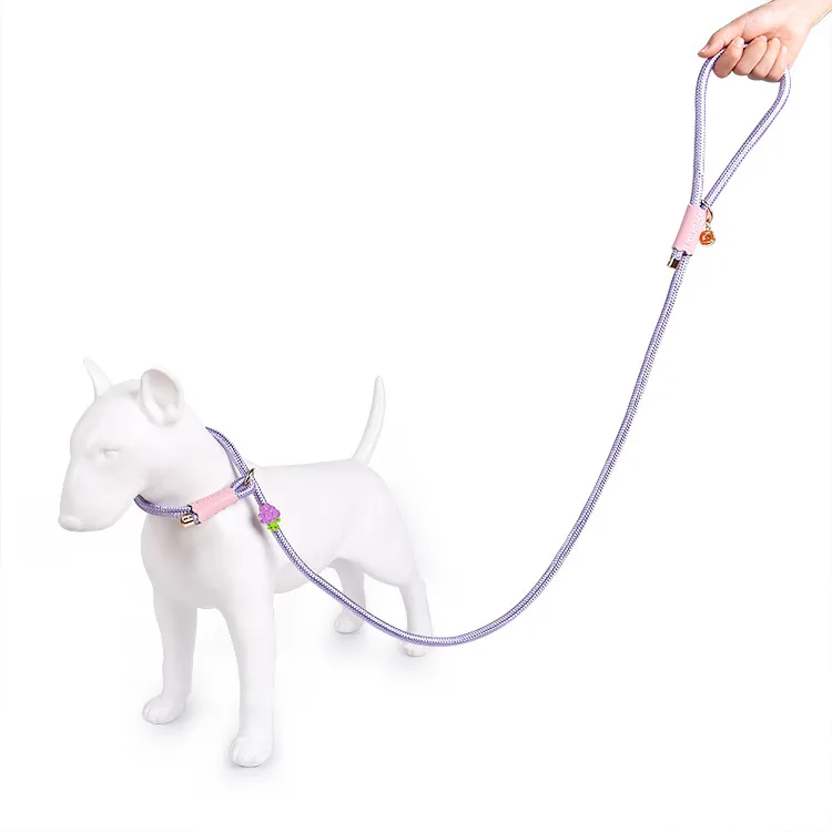 Loudik Wholesale Manufacturer Personalized Stock Western Style Quality Nylon Rope Pet Collar Leads Accessories Luxury Dog Leash