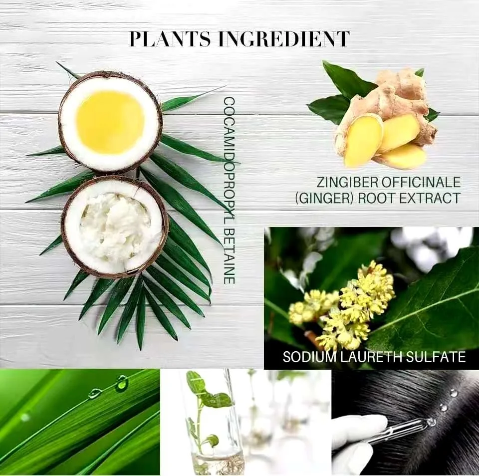 Private Label Best Quality Efficient Natural Herbal Ginger Olive Oil Hair Growth Fast Treatment