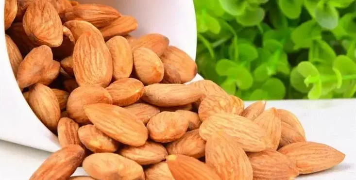 ASM High Quality Almonds For Sale Nuts Badam Almond