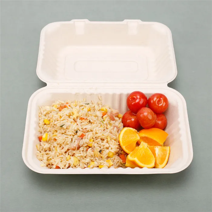 Compostable Paper Meal Box White Biodegradable Sugarcane Bagasse Disposable Takeout Fold Container Paper