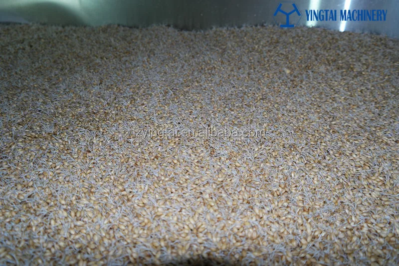 fully automated/automatic Combination Germination vessel to produce malts for brewers