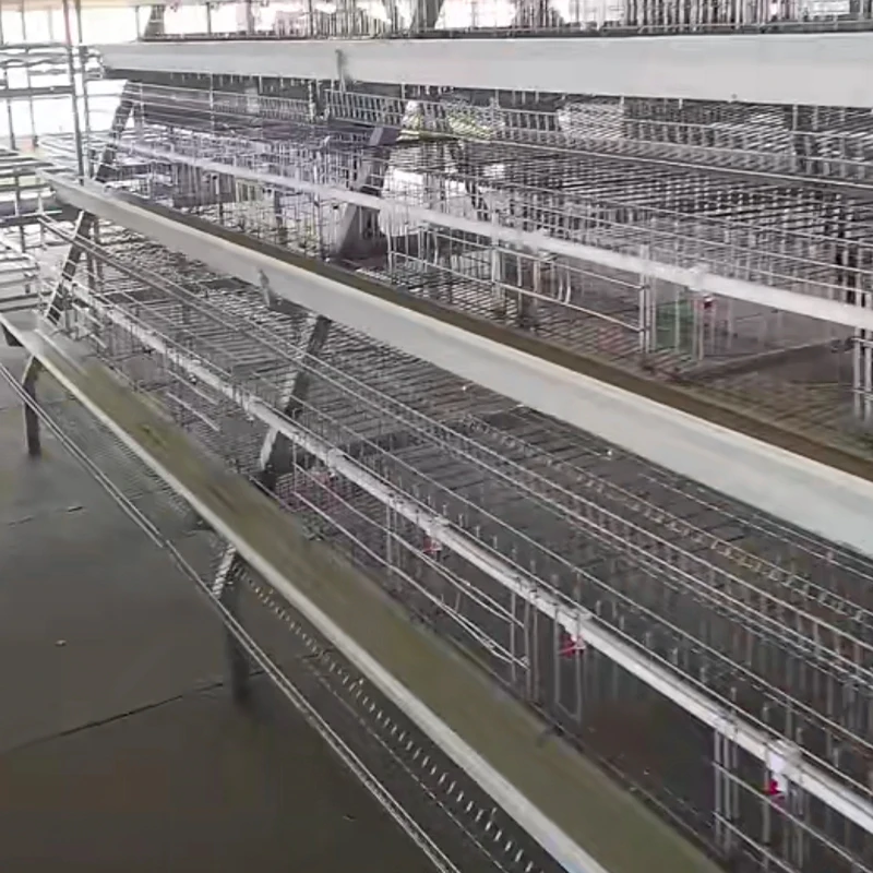 Fully Automatic A-Type Chicken Egg Layer Cages for Sale Premium Animal Cages for Chicken Rearing