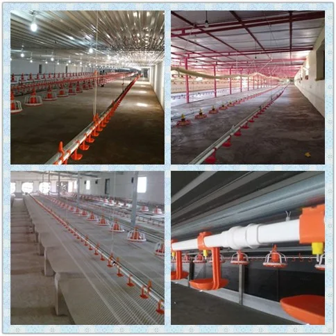 High Quality Poultry Farm Automatic Pan Feeding And Drinking Line chicken nipple drinker with cup For Chicken House