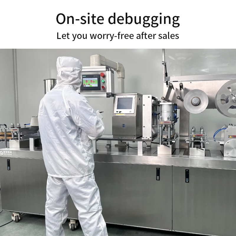 DPP-250 Automatic Flat Plate Alu Alu Tablet Capsule Packaging Pill Blister Sealing Forming Strip Blister Packing Machine