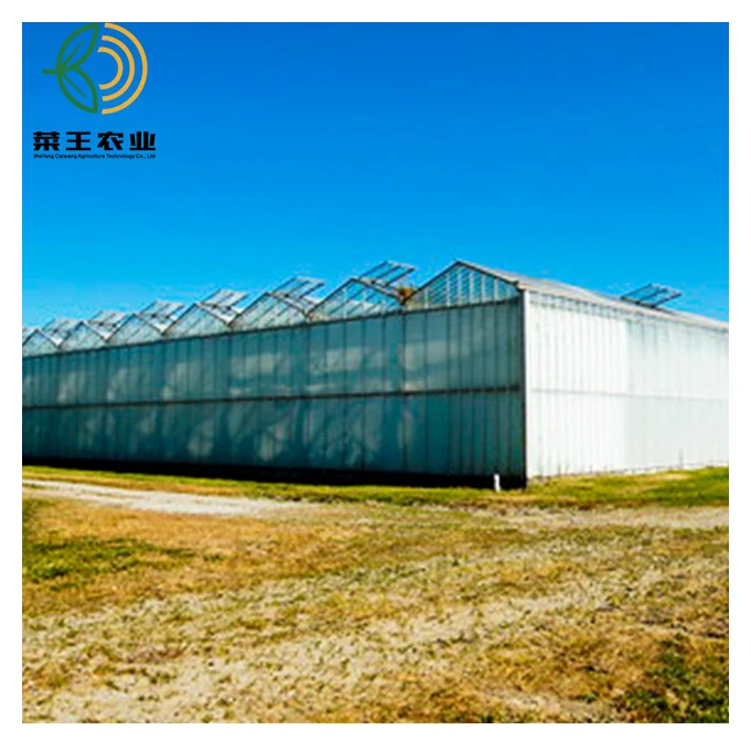 Agricultural Hydroponic Greenhouse Turnkey Project With Strong Frame
