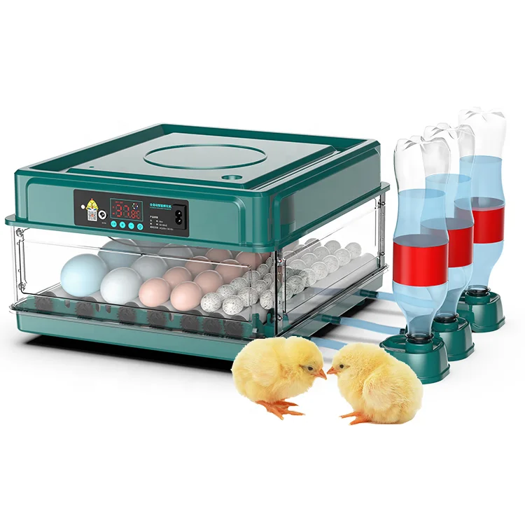 70 Egg Capacity Automatic Water Supply Egg Incubators Hatching Chicken for sale