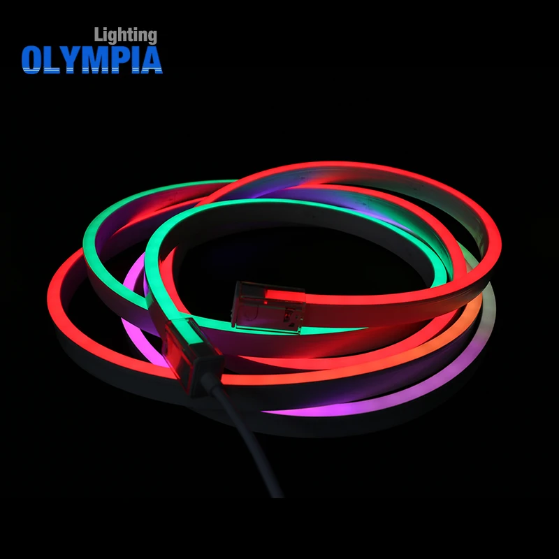DMX waterproof  ip68 led neon flex rope light with remote rgbw led rope