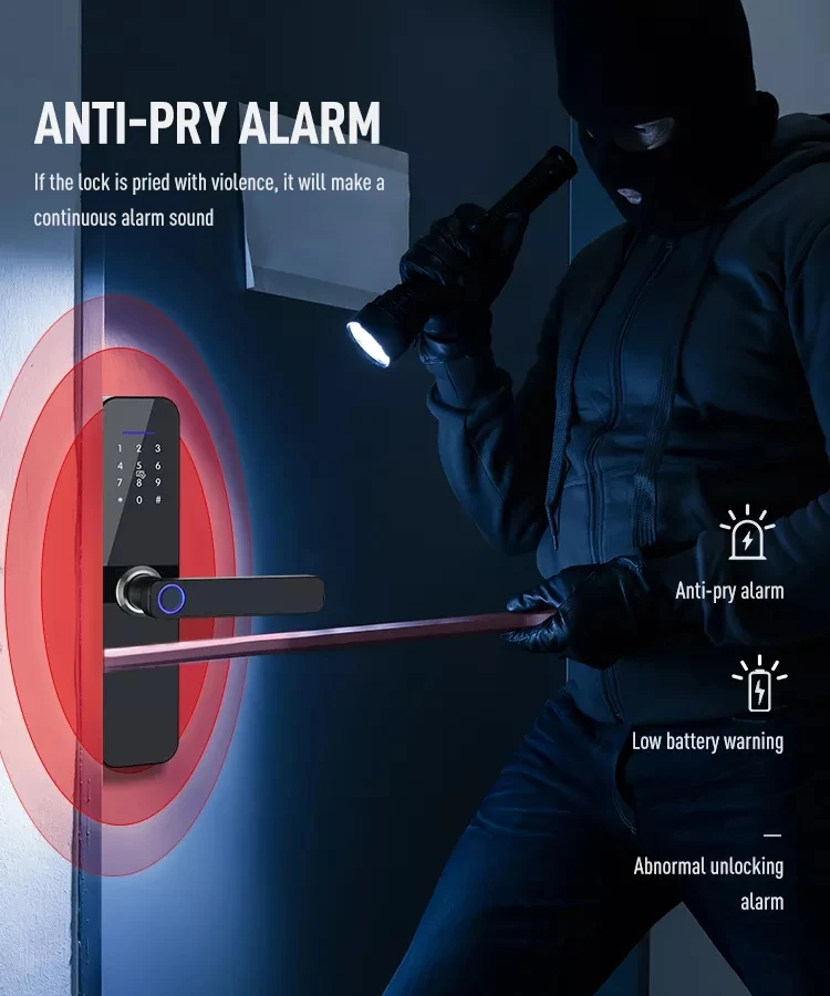 Factory Price Tuya TTlock Lock wifi biometric Intelligent electronic fingerprint smart locks