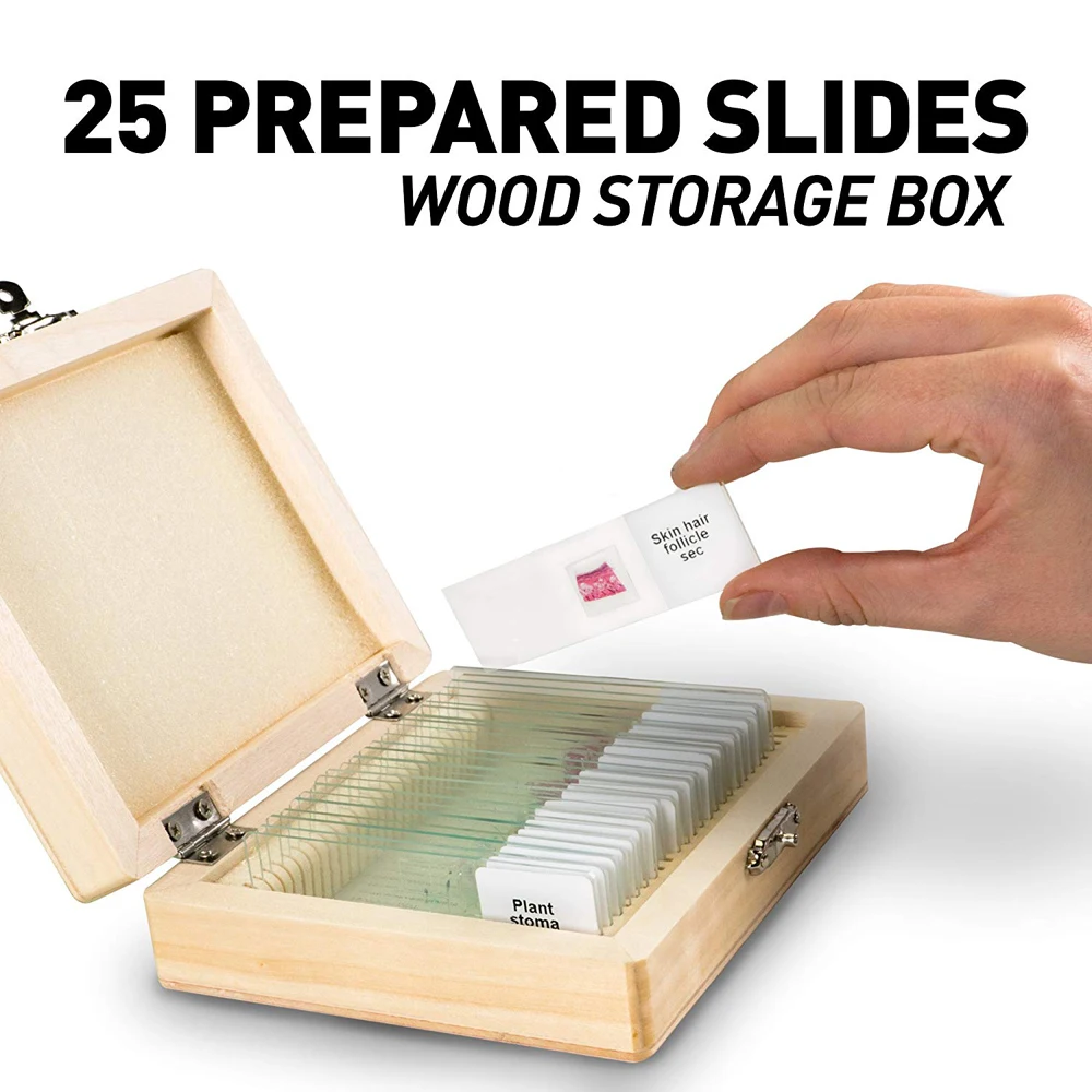 High Quality Mixed 25 pcs Plant Animal Microscope Prepared Slides In Wooden Box