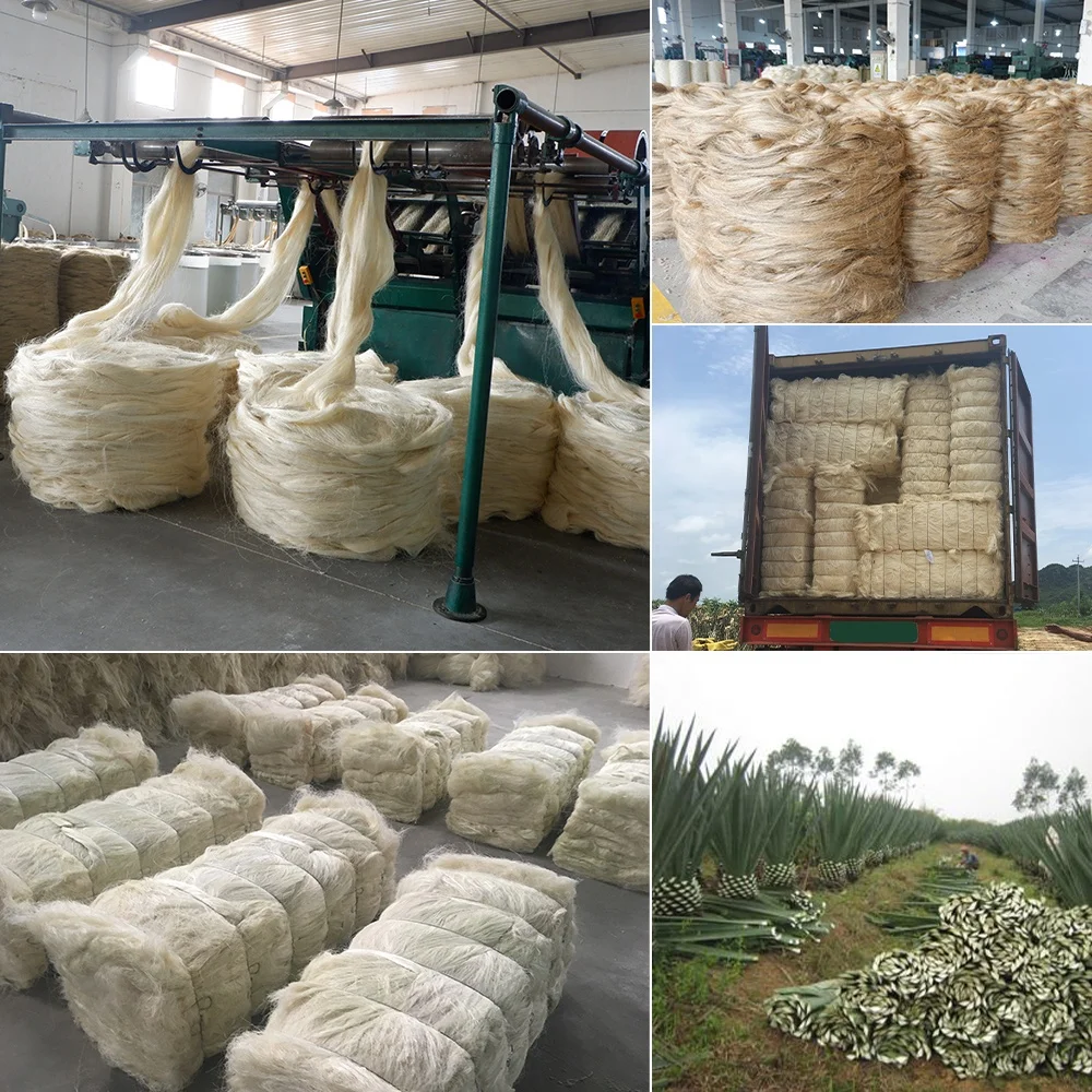 Chinese UG Grade long sisal fiber 90-120CM with cream white color