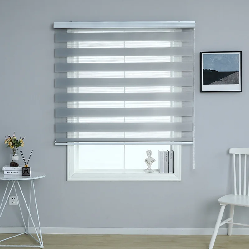 Blinds for Window Dual Layer Roller Zebra Sheer Shades Light Filtering Window Treatments Privacy Zebra Blinds for Day and  night