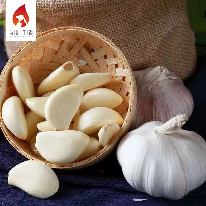 High Quality Health Food Garlic Wholesale Market Price Fresh Garlic