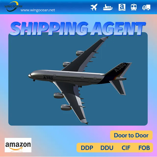 Door to Door logistics service 2024 Cheapest freight forwarder LCL shipping agent air shipping from china to France