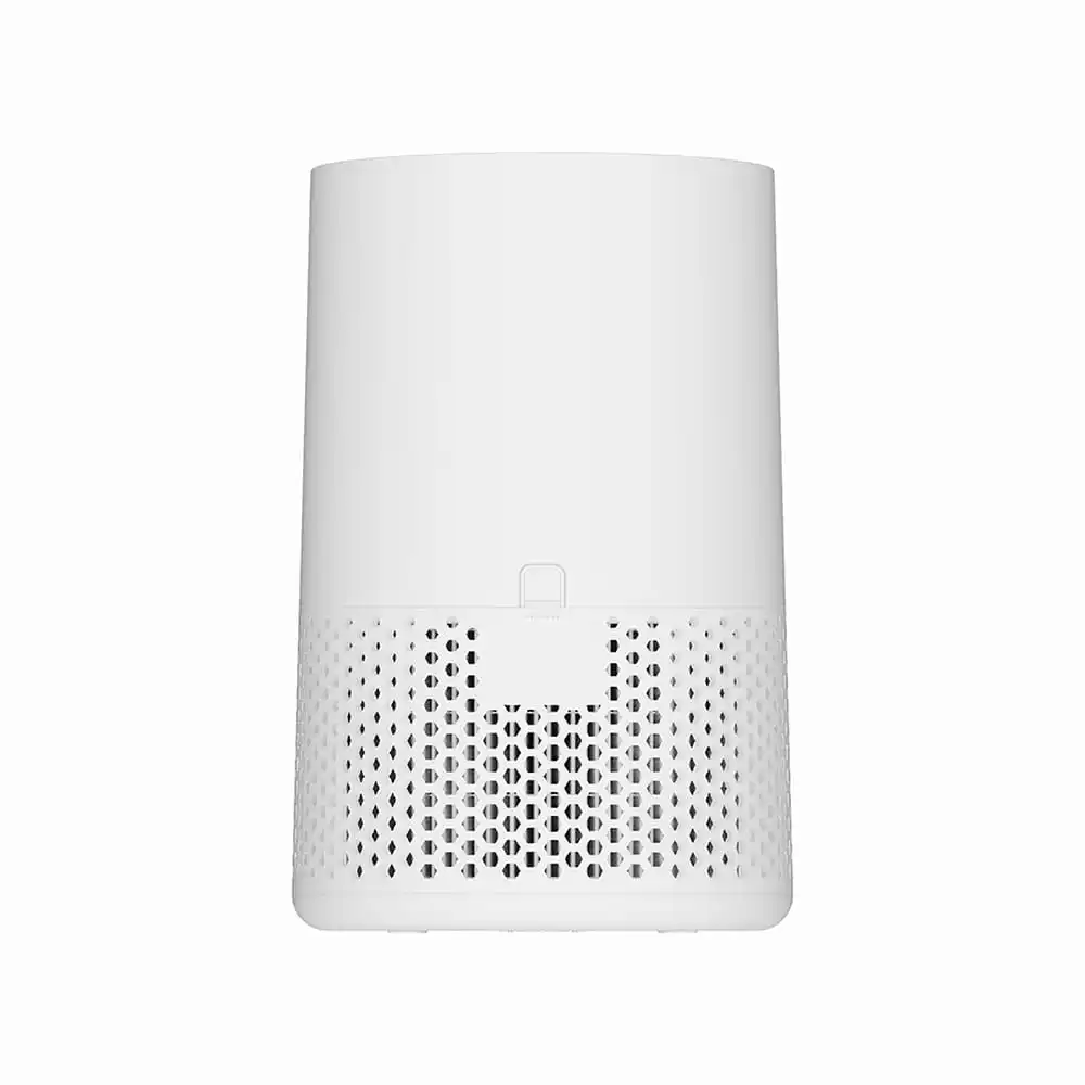 air purifier home large