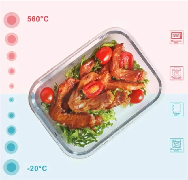 IKOO Airtight Borosilicate Glass Food Storage Container Vacuum Food Container with Pump