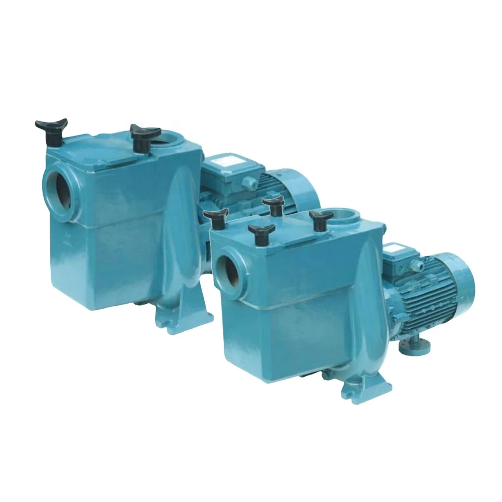 High quality Pool Products for Pool Spa Water Circulation Swimming Pool Cooper Pump