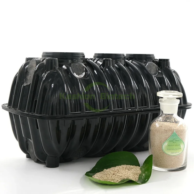 Удаляет кал, быстро анаэробное брожение, био-септический резервуар, бактерии для лечения