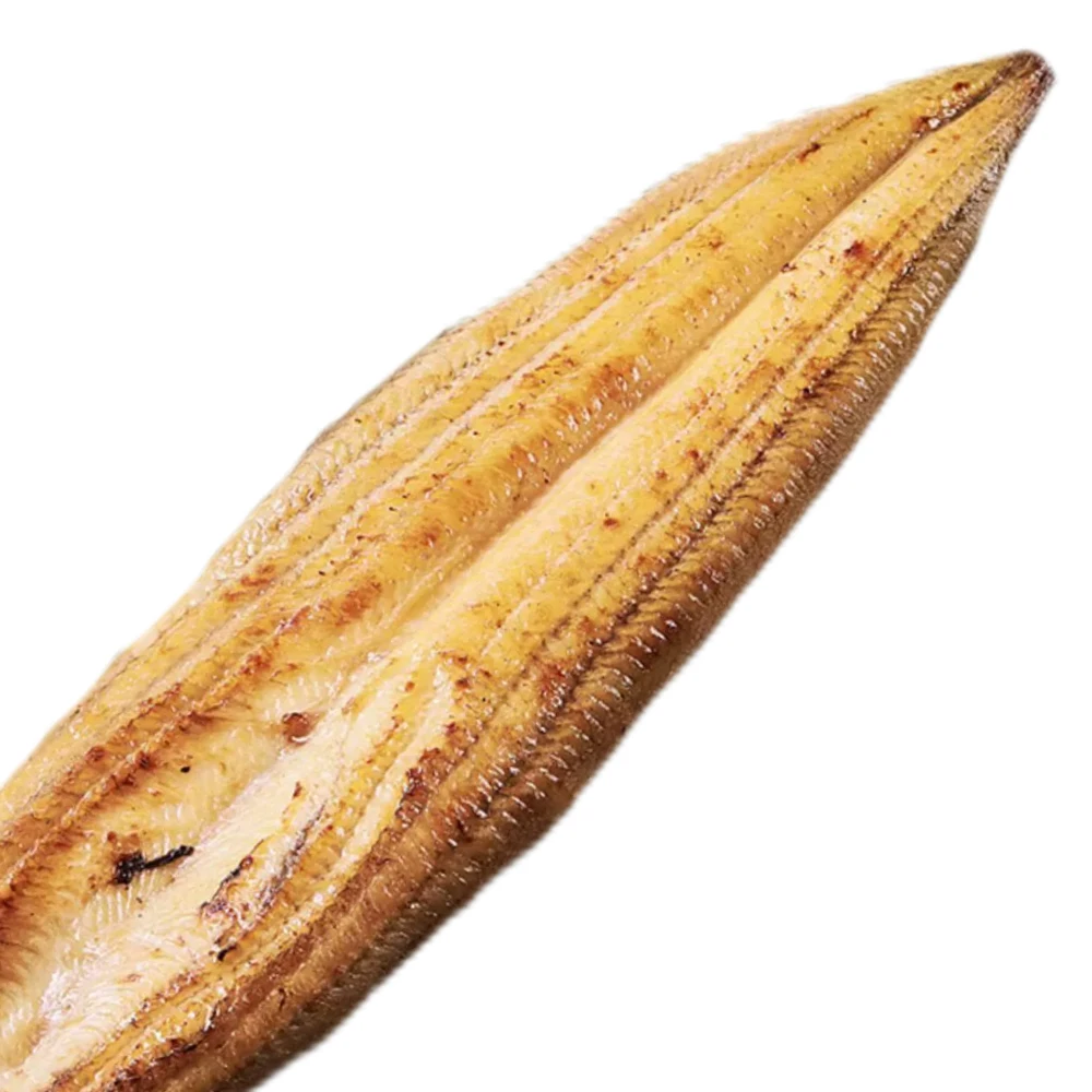 Customized Unagi Shirayaki Japanese Technique Dried Roasted Frozen Eel with AD Drying Process