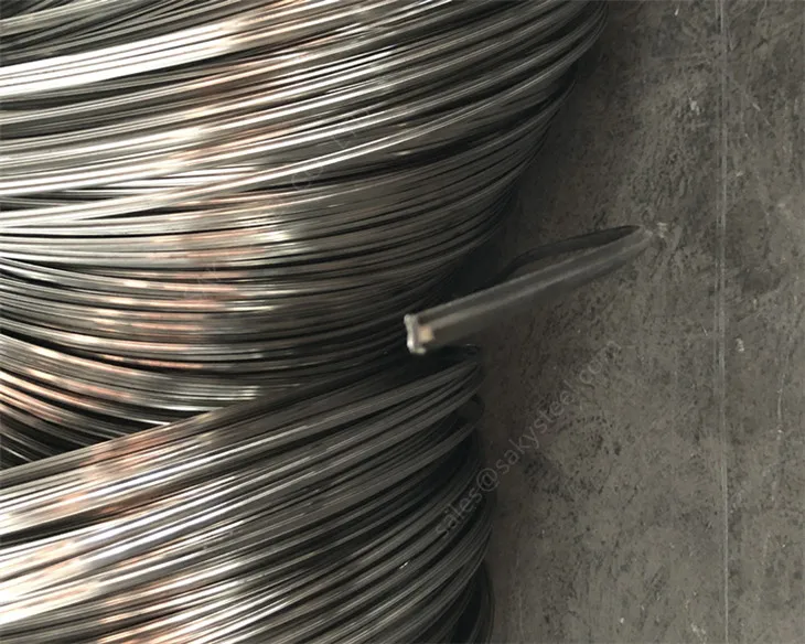 AISI 302 304 304L Stainless Steel profile Wire