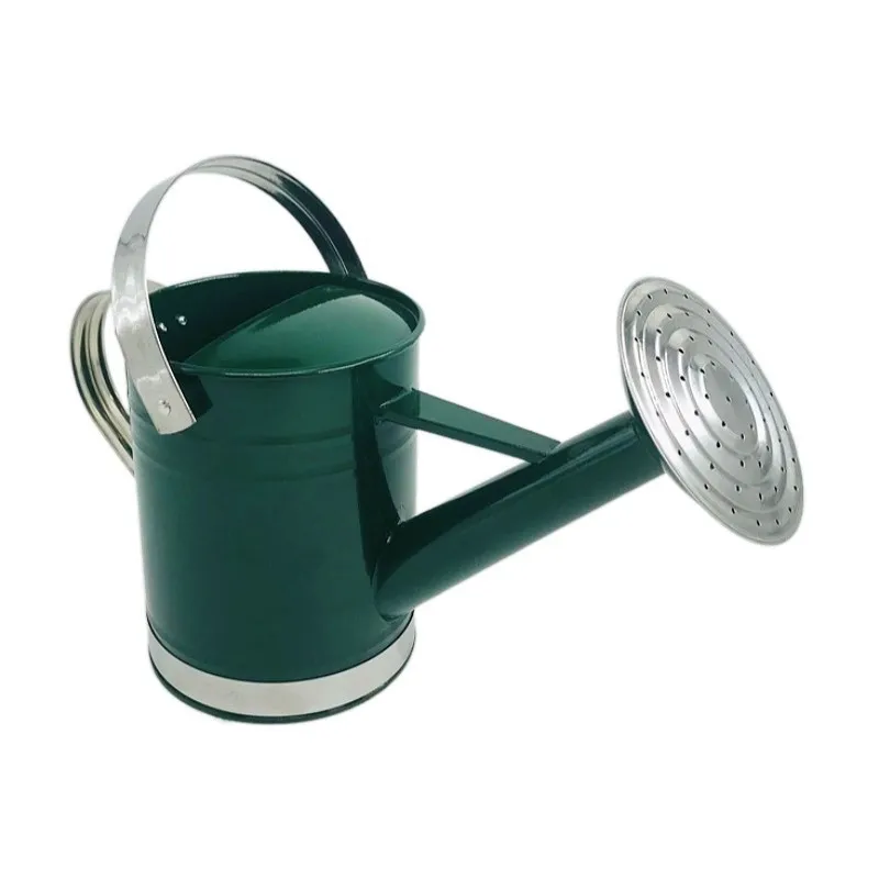 Manufacture Wholesale 1.8 5 6 L 2 gallon Long Spout Garden Water Cans Metal Watering Can For Outdoor  agricultural Plants