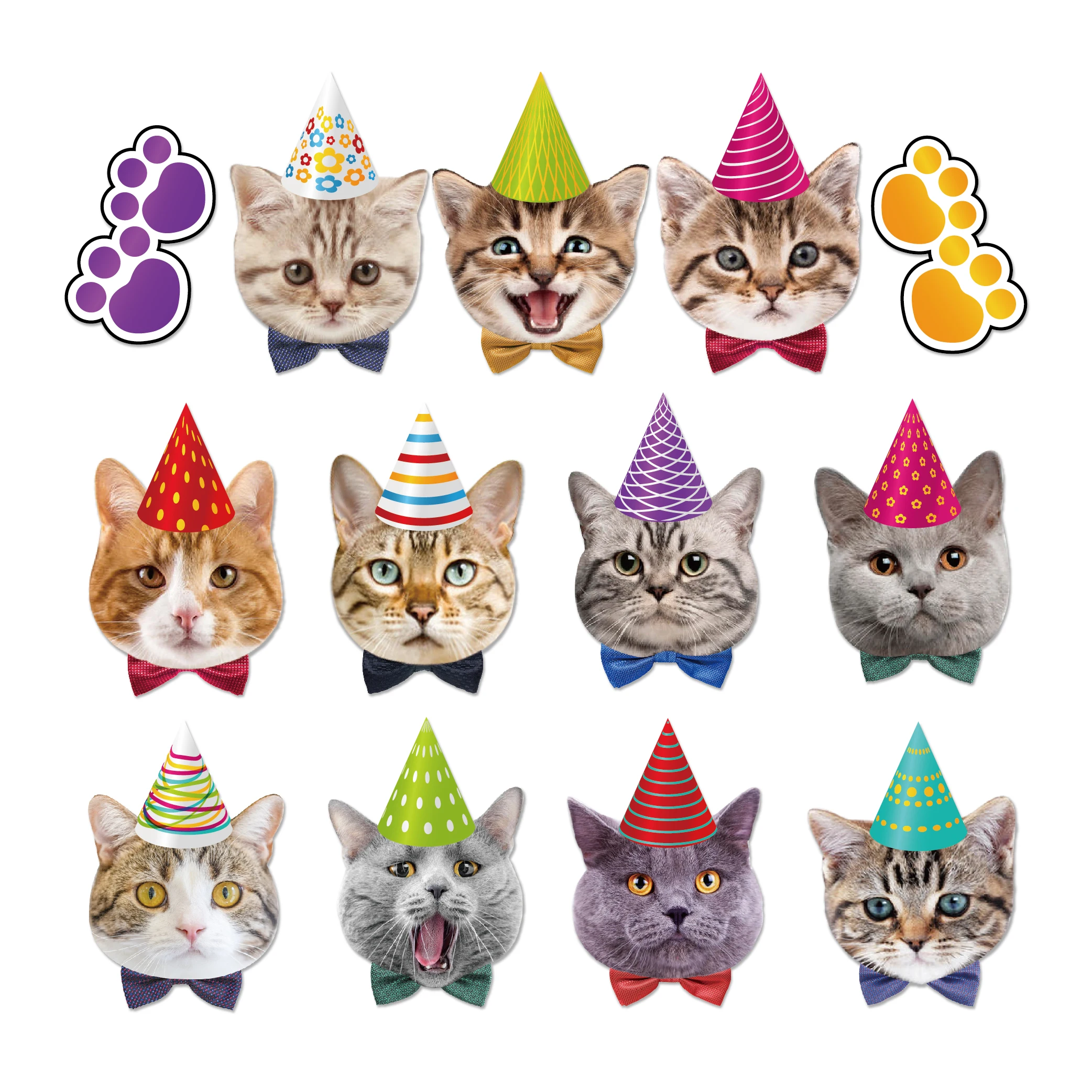 BA173 баннеры с изображением лица кошки домашнего питомца, украшение на день рождения, баннер с изображением лица для животного на день рождения
