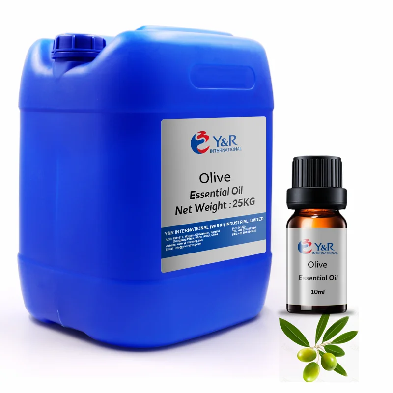 Private Label Pure Nature Organic Olive Essential Oil in Bulk Olive Oil for Skin Care with Free Samples