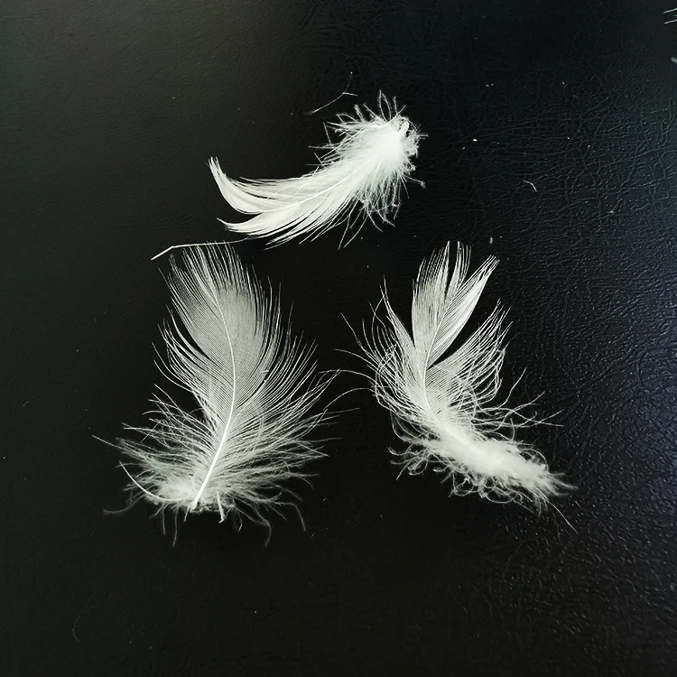 Европейский стандарт, гусиное перо 4-6 см, белое утиное перо для подушки