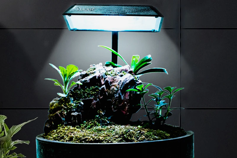 Dc 5V Usb Clip On Aquarium Mini Led Light Full Spectrum For Aquarium Plants