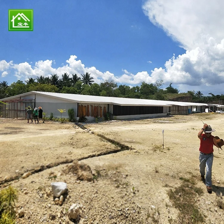 Быстрая сборка, мобильный куриный домик, стальная конструкция, птицефабрика, мастерская, здание, индивидуальный дизайн