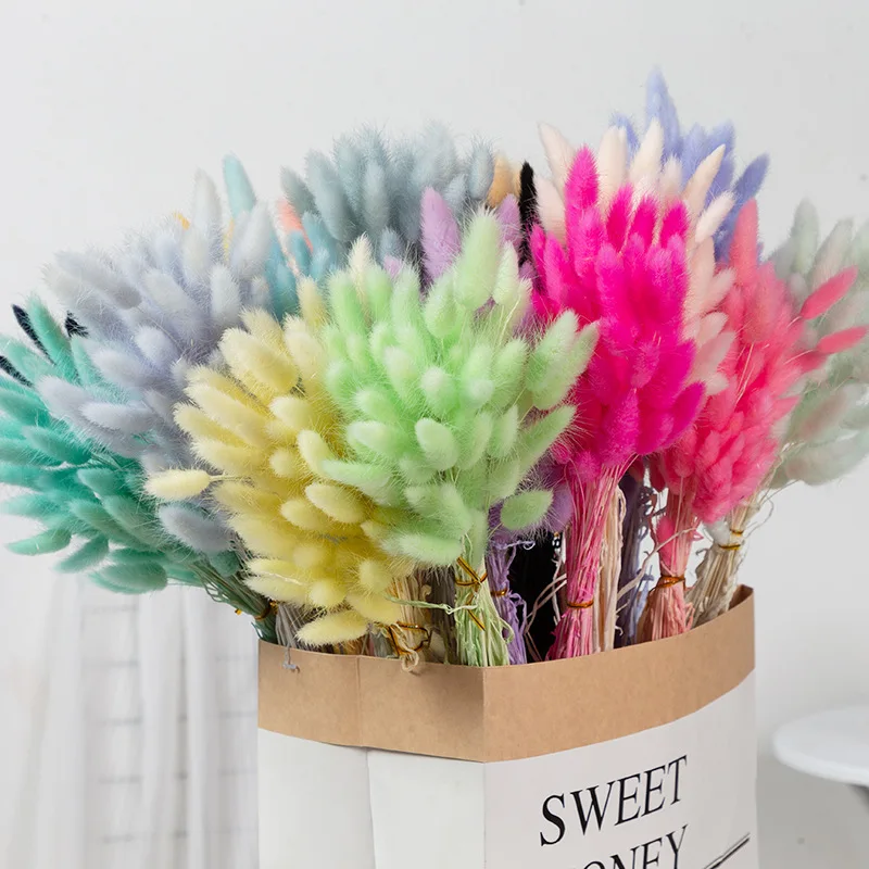 G46 Home Decorations DIY Bouquet 60pcs Wedding Detor Dried Preserved Bunny Tails Grass Flower Multicolor Rabbit Tail