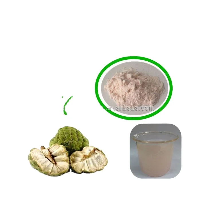 Factory Supply Graviola fruit Extract Soursop Powder Banaba Leaf Extract