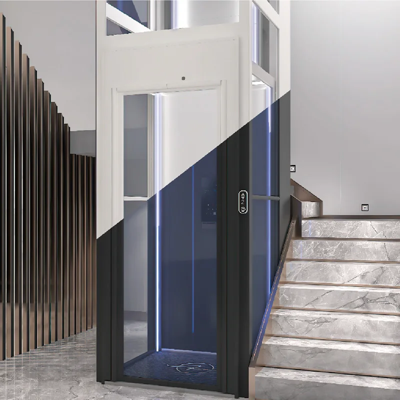 household residential Platform passenger lift sightseeing steel strip elevators with new designed