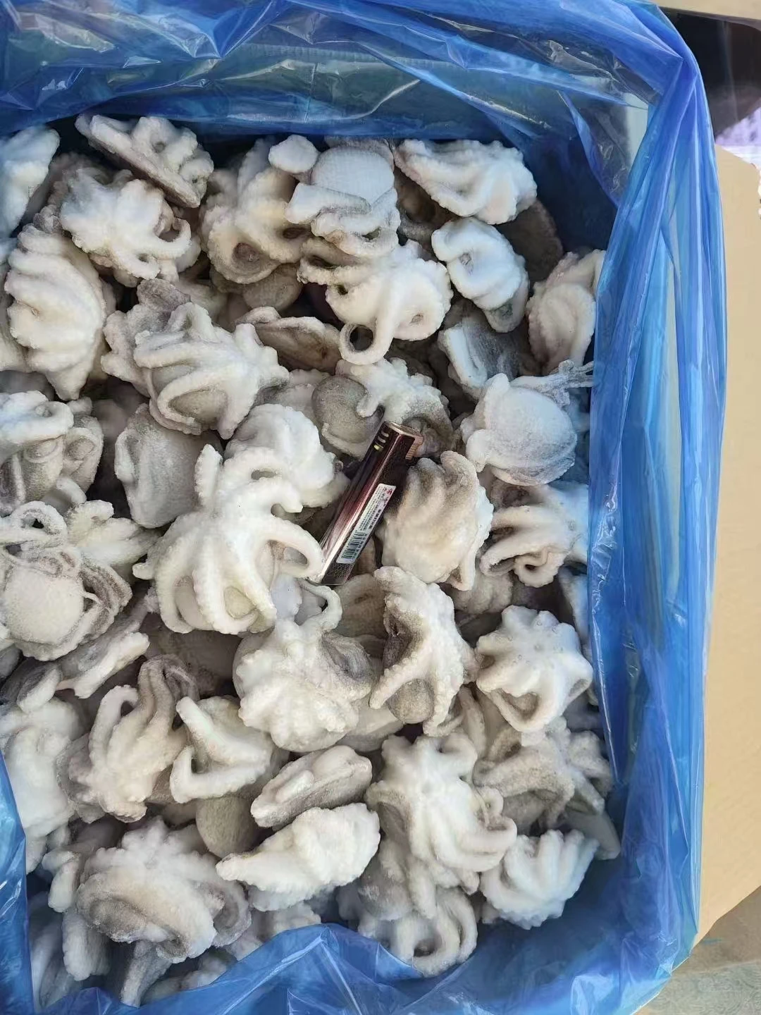 Origin china New Season Cleaned Baby Octopus