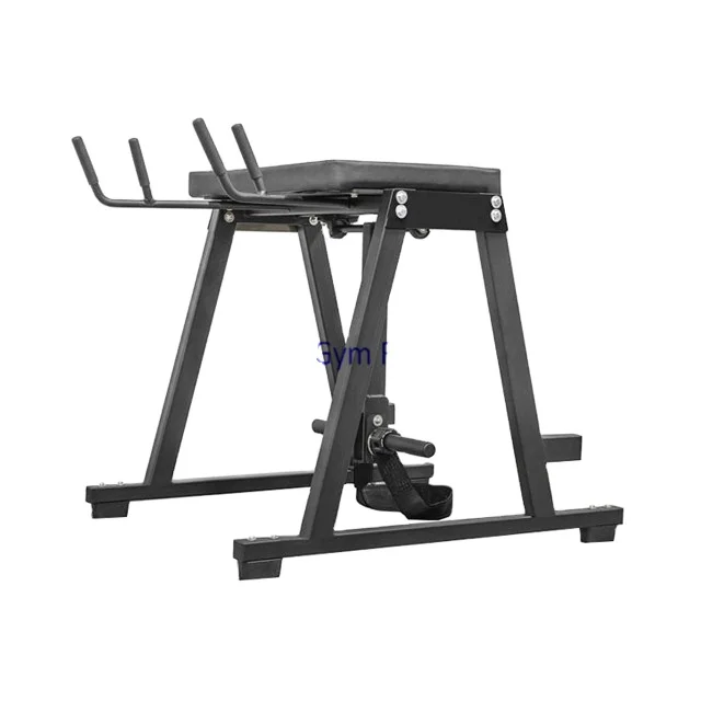 Fitness equipment reverse hyper extension gym equipment