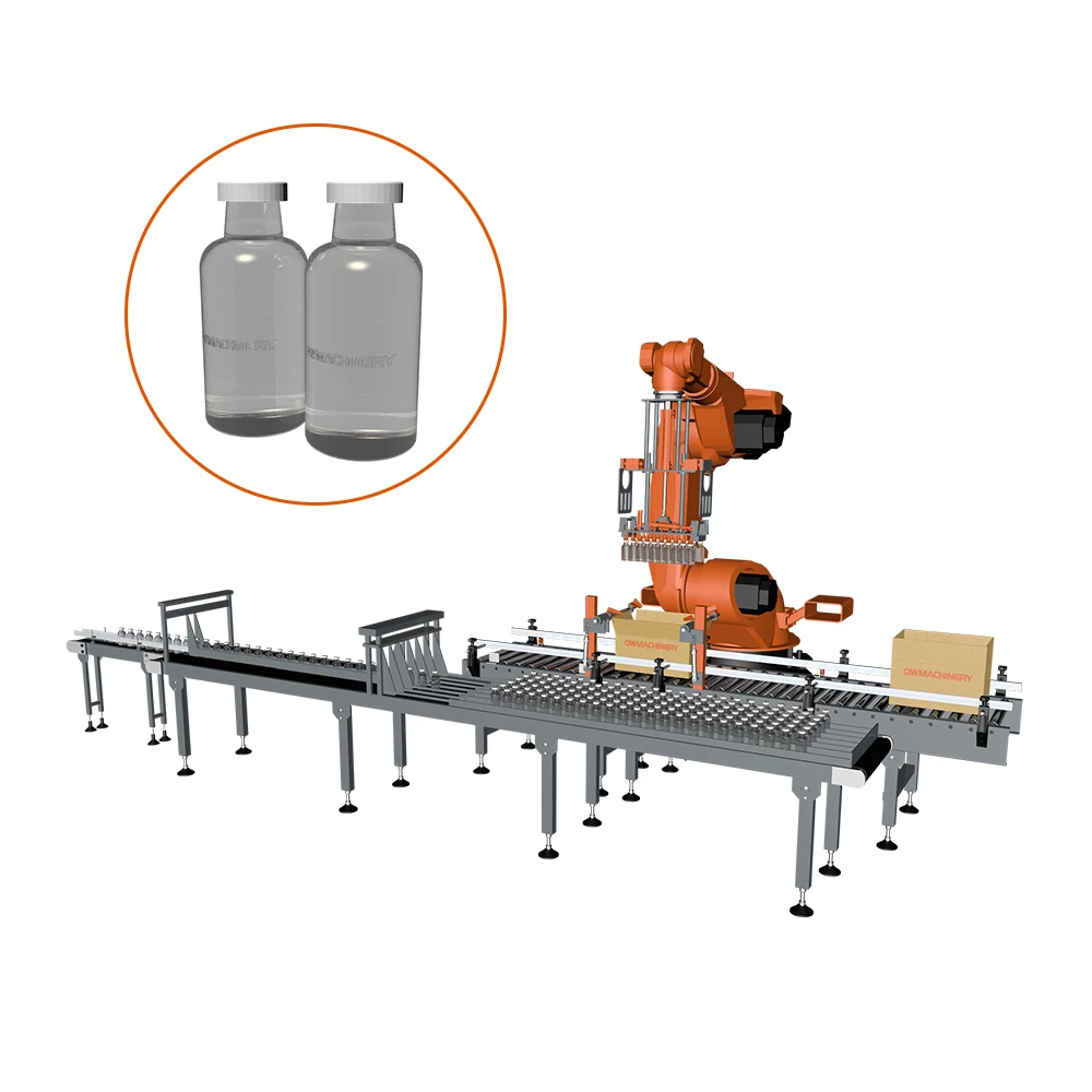 Automatic Drop Type Carton Packer Machine Case Packer For Bottles Cans