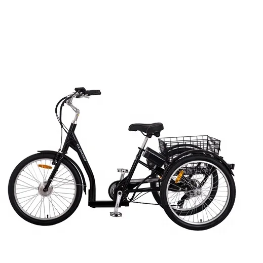 Shop Pedal Bike 3 Wheels Cargo Tricycle Tricycle Cargo Bicycle GW 7019E with 7 Speeds 24 Inch Women Steel Aluminum Alloy Street
