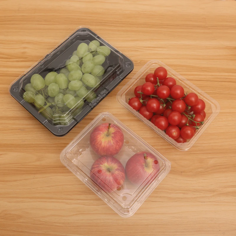 Wholesale transparent disposable fruit box food grade PET vegetable packaging box