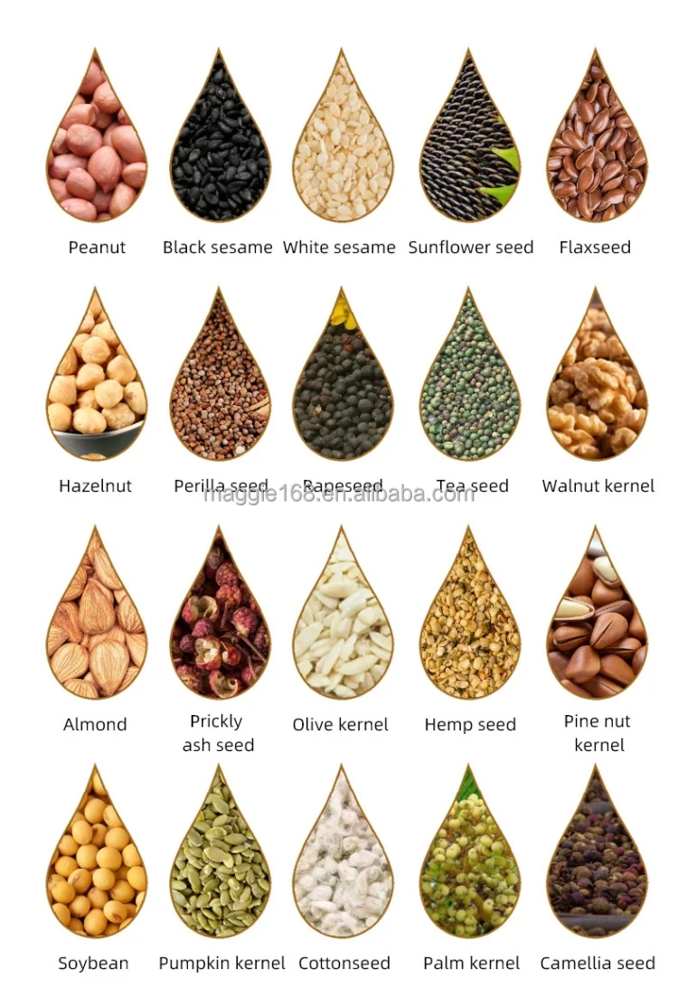 automatic oil press Making Machine Provided Soybean Peanut Hot Sale Oil Processing Machine Sunflower Oil Press Machine