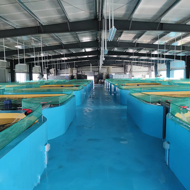 recycling aquaculture system fish farm water filter system fish farm filter system