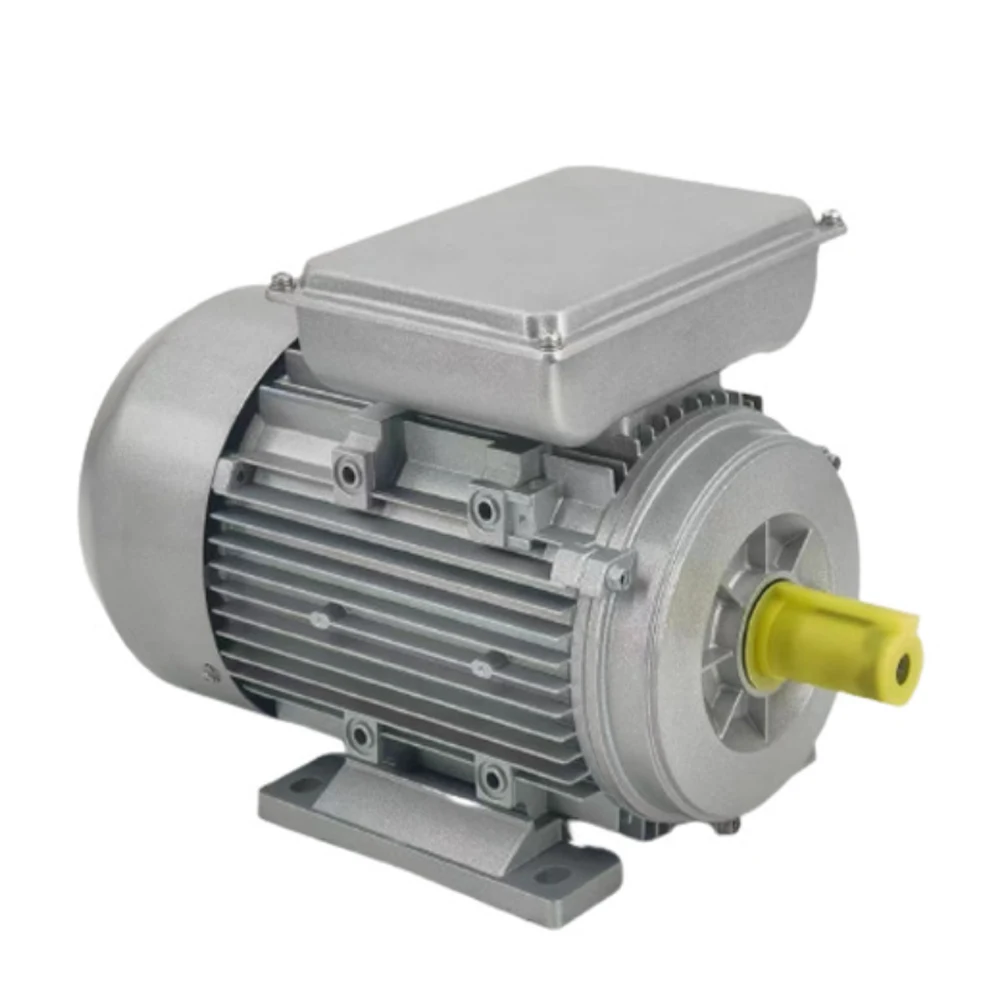 YL802-4 0.75kw 4-pole 1500rpm Single-phase Cast Iron Shell Copper Wire Capacitor Start and Run YL Motor