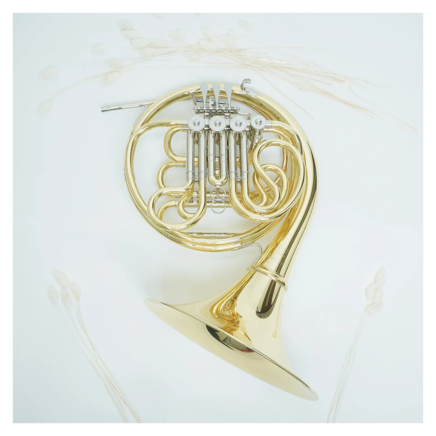 French horn concert stage playing accessories music instrument set