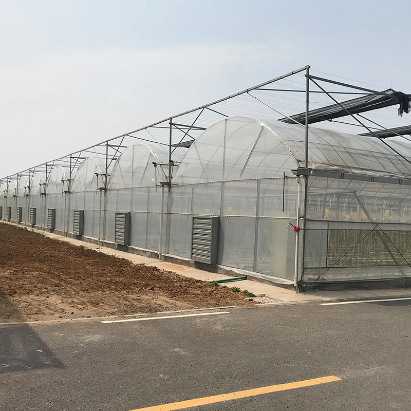 The best selling tomato greenhouse heating system in the winter